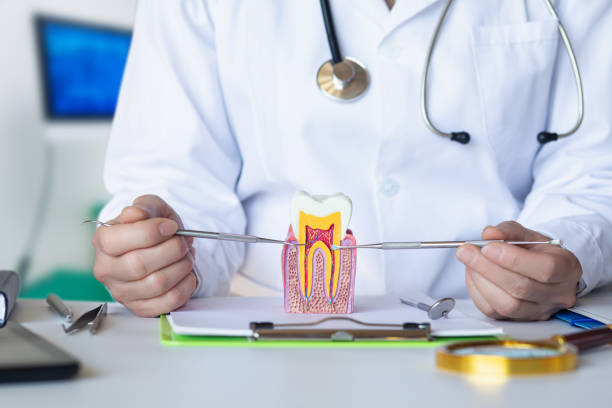 Best Dentist for Tooth Abscess  in Old Saybrook Center, CT